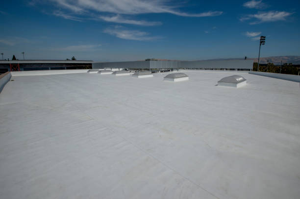 Best Roof Coating and Sealing  in East Alton, IL