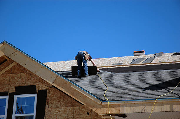 Best Roof Moss and Algae Removal  in East Alton, IL