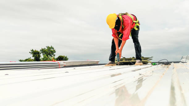 Best Roof Insulation Installation  in East Alton, IL