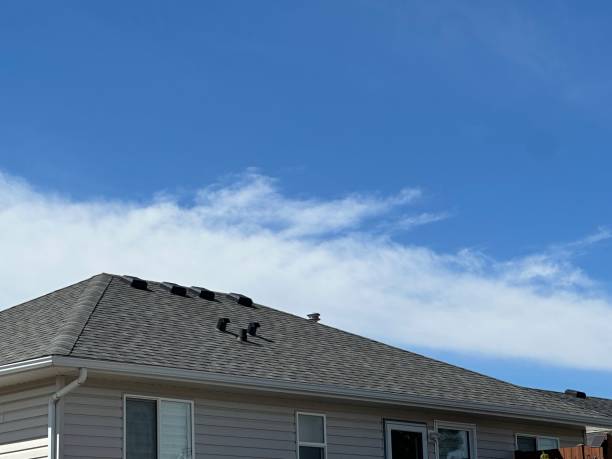 Best Gutter Installation and Repair  in East Alton, IL
